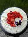 Fraisier 