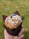 Les Muffins