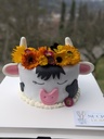 Cake design