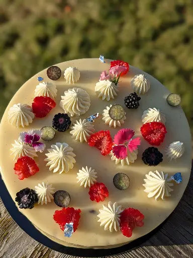 Framboisier  Sans gluten sans lactose 