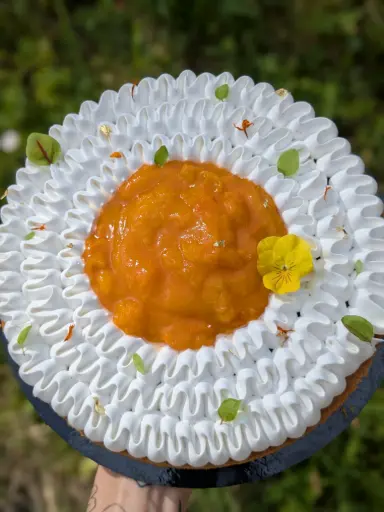 Tarte Abricot & Romarin